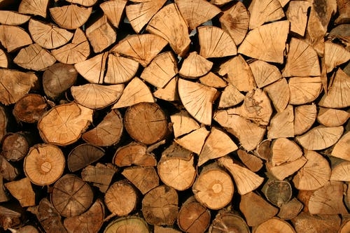 Депутаты Ленобласти одобрили поправки в региональный закон о порядке заготовки древесины на собственные нужды