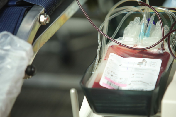 Росгвардейцы Петербурга сдали донорскую кровь для больных раком