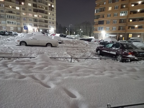 В Санкт-Петербурге ГИБДД просит участников дорожного движения быть предельно внимательными за рулем