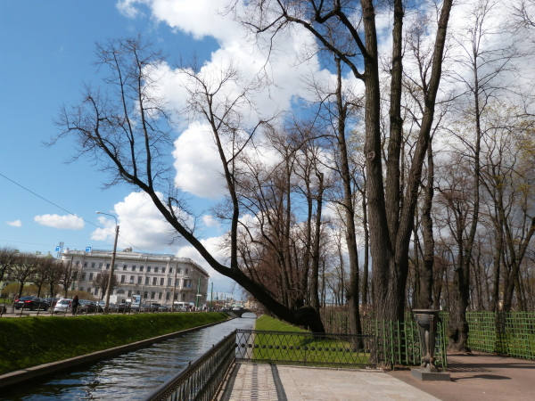 В Санкт-Петербурге с 1 апреля будут закрыты Летний и Михайловский сады
