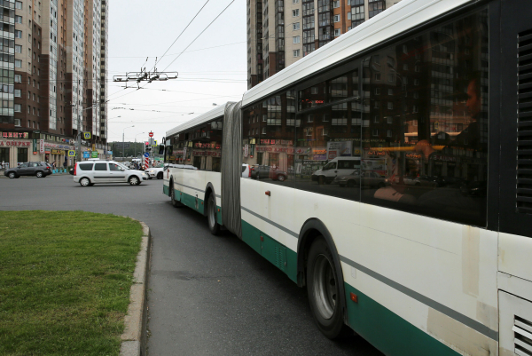 В Петербурге планируют бесплатно возить льготников на пригородных автобусах в «дачный» сезон