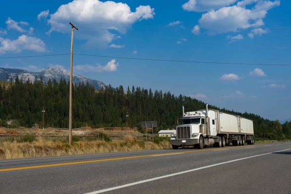 Польша и Литва намерены ограничить движение грузовых автомобилей в Россию и Белоруссию