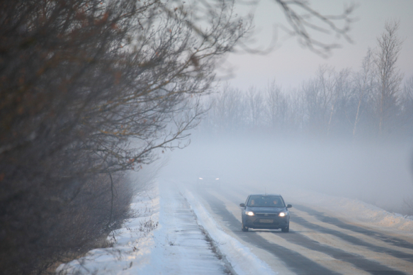 В Ленобласти предупредили о мокром снеге и тумане в воскресенье