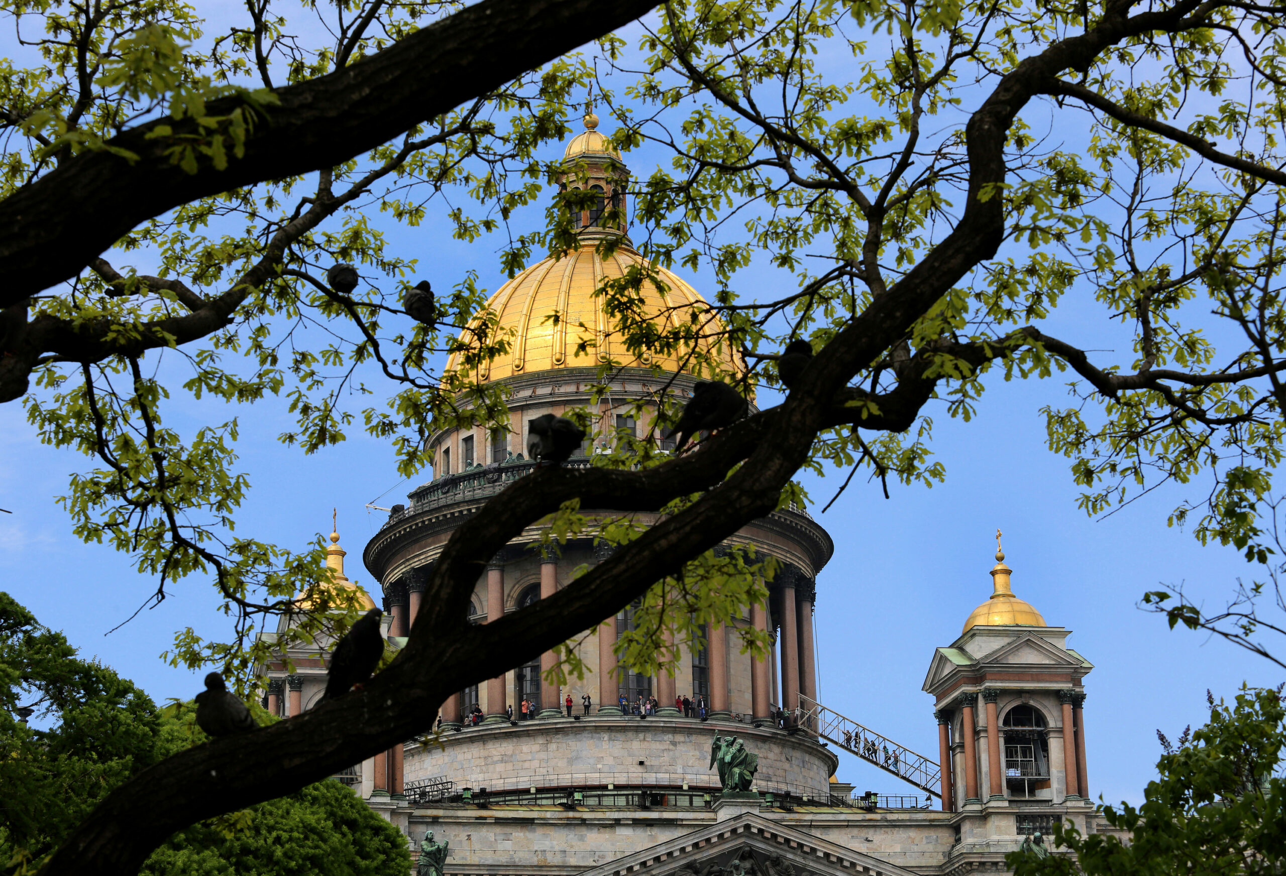 Адмиралтейство в Санкт-Петербурге. Адмиралтейство в Санкт-Петербурге фото. Петербург картинки.