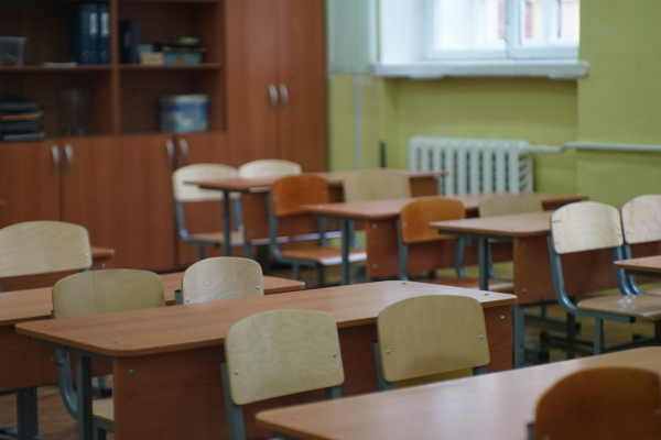 Учительницу из Центрального района Петербурга хотят привлечь за «буллинг»