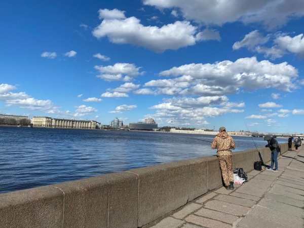 В Санкт-Петербурге продолжится потепление, воздух прогреется до +12 градусов