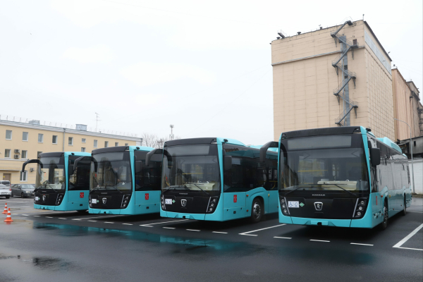 Перевозчики оценили готовность к последнему этапу транспортной реформы в Петербурге
