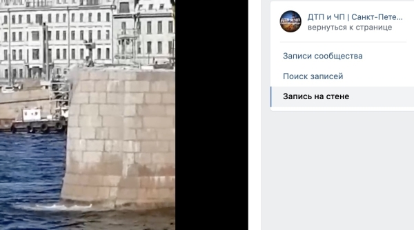 В Петербурге рабочие на Биржевом мосту скидывают бетон и строительный материал в Малую Неву