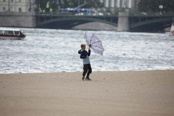 Грозы, ливни и жара: синоптик рассказал о погоде в Петербурге 8 июня