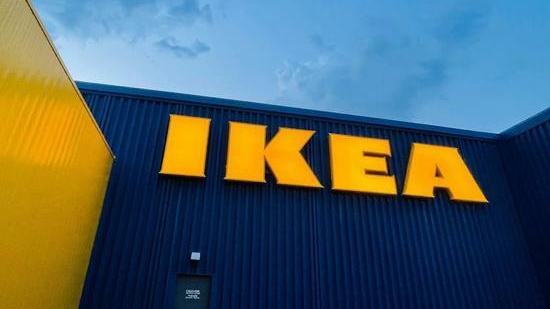 Суд Петербурга рассмотрит дело о требовании с IKEA 2 млрд рублей за отказ строительства «Мега Новоселье»