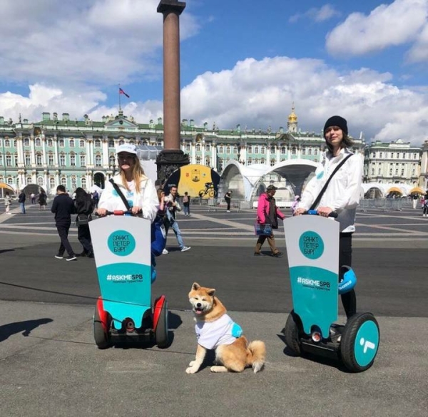 Пес Изюм помогает туристам Петербурга ориентироваться в городе