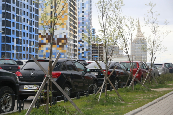 В Жилищном комитете Петербурга рассказали о нюансах обеспечения молодежи жильем