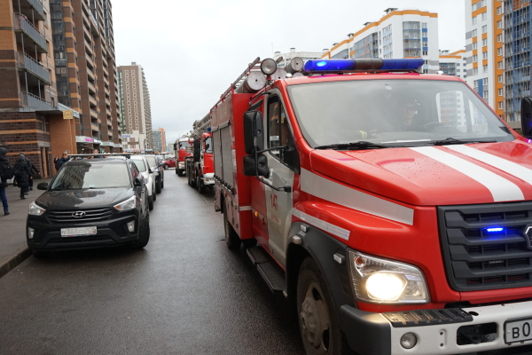 В Петербурге начнет действовать особый противопожарный режим