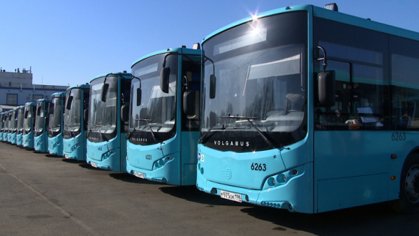 В Петербург доставили еще 12 экологичных автобусов