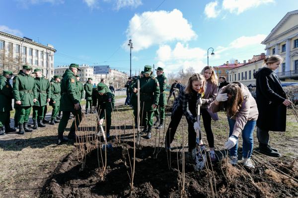 В Петербурге «Сад памяти» в 2022 году увеличился на 2 тысячи деревьев и кустарников