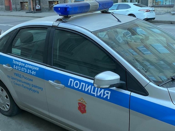Форточник-альпинист залез в квартиру пенсионерки в Пушкине через окно и украл 95 тысяч