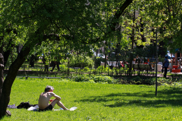 В Зеленогорском парке открыли новую площадку для отдыха