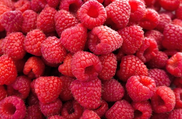 Россиянам рассказали, какая ягода поможет в борьбе с лишним весом
