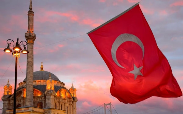 Количество жертв землетрясения в Турции превысило 29 тысяч
