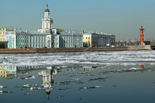 В Петербурге вход в Кунсткамеру станет бесплатным на один день