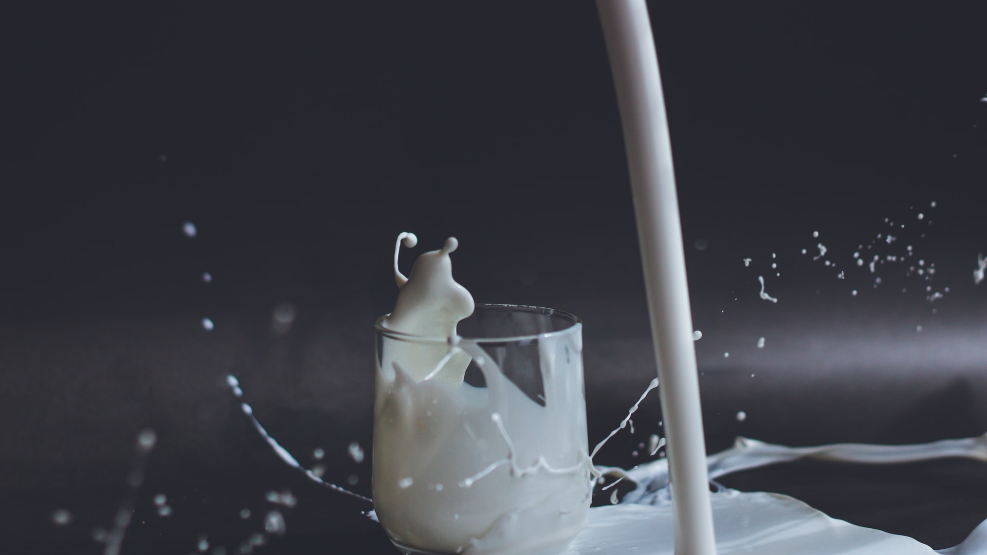 Ленобласть заняла первое место в СЗФО по производству молочной продукции