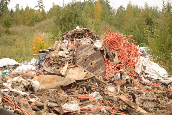 В Ленобласти с начала 2022 года уничтожили 187 свалок