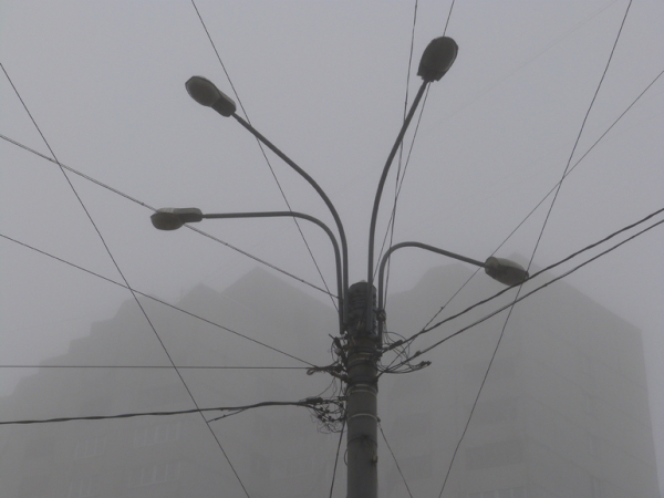 Спасатели предупредили петербуржцев о плотном тумане в некоторых частях города