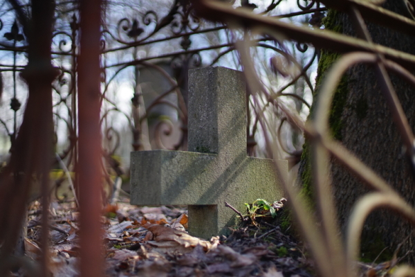 Как в 90-х: пойманы киллеры гендиректора ритуальных услуг на Пикалевском кладбище в 2012 году