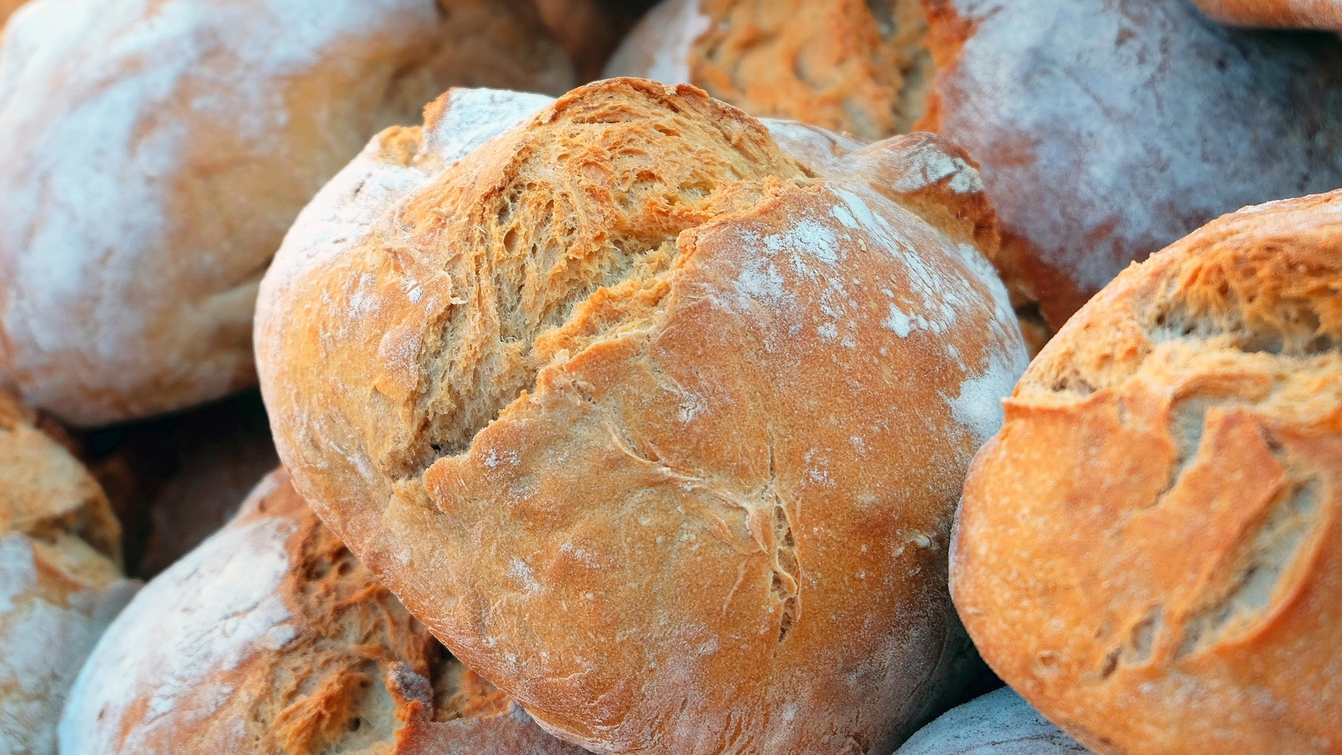 Роспотребнадзор рассказал, как предотвратить рост плесени на хлебе