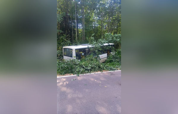 В ДТП с автобусом у Большого Бора пострадали 7 пассажиров: проводится проверка
