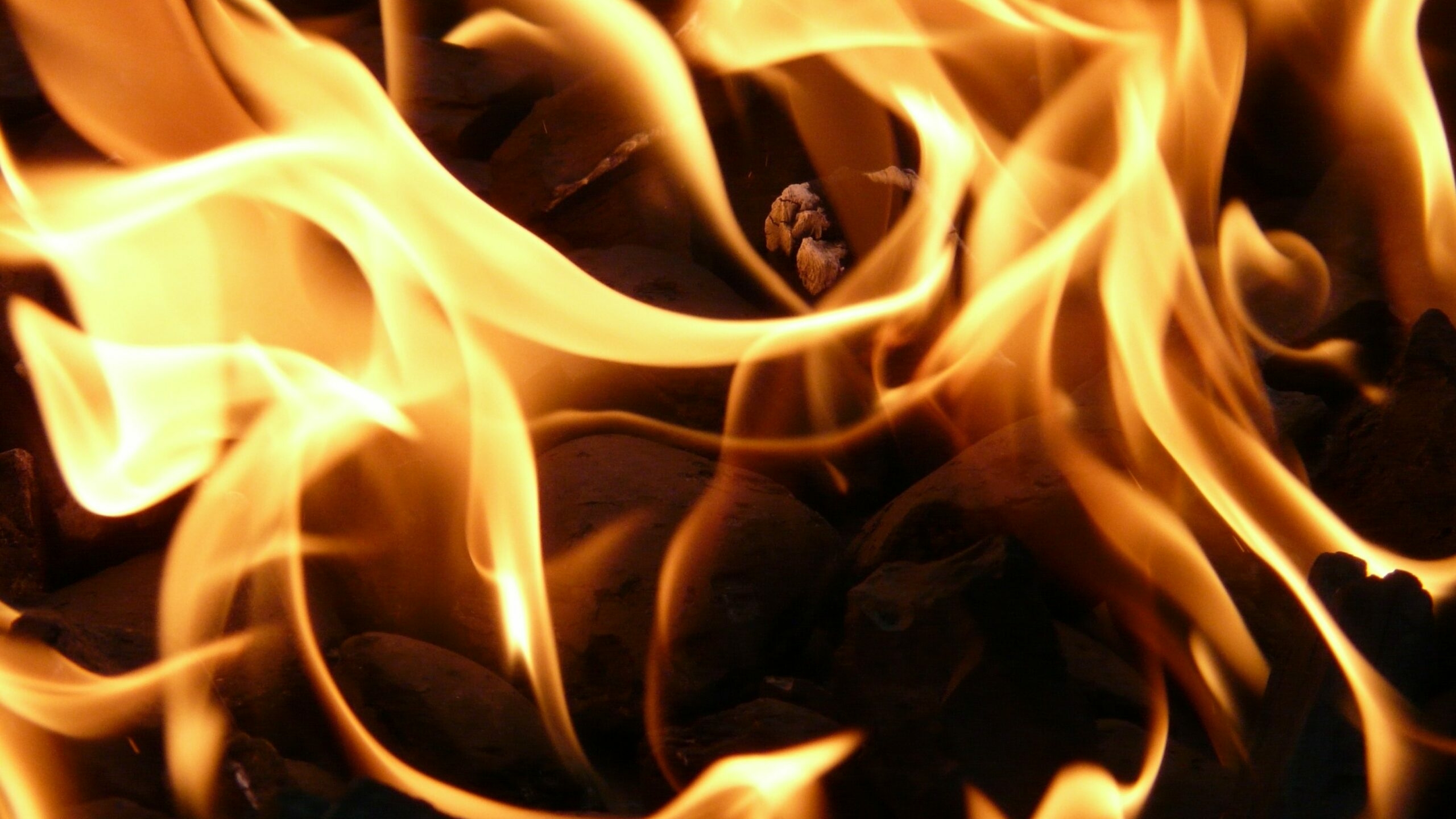 Менее чем за полчаса спасатели потушили горящий автомобиль во Фрунзенском районе