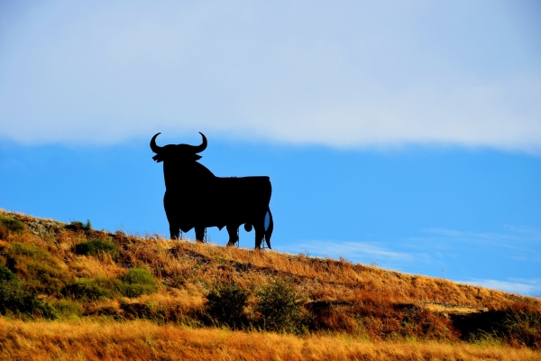 В Валенсии один человек погиб после традиционного забега с быками