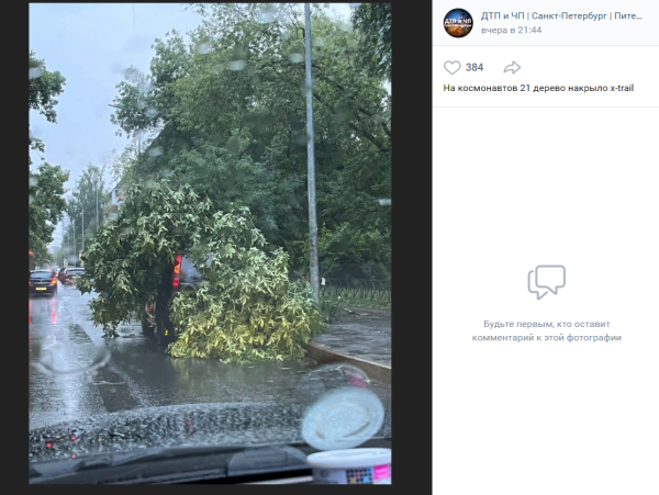 Поваленные деревья, сорванная крыша и перевернутая машина: в Петербурге и Ленобласти готовятся разбирать последствия урагана