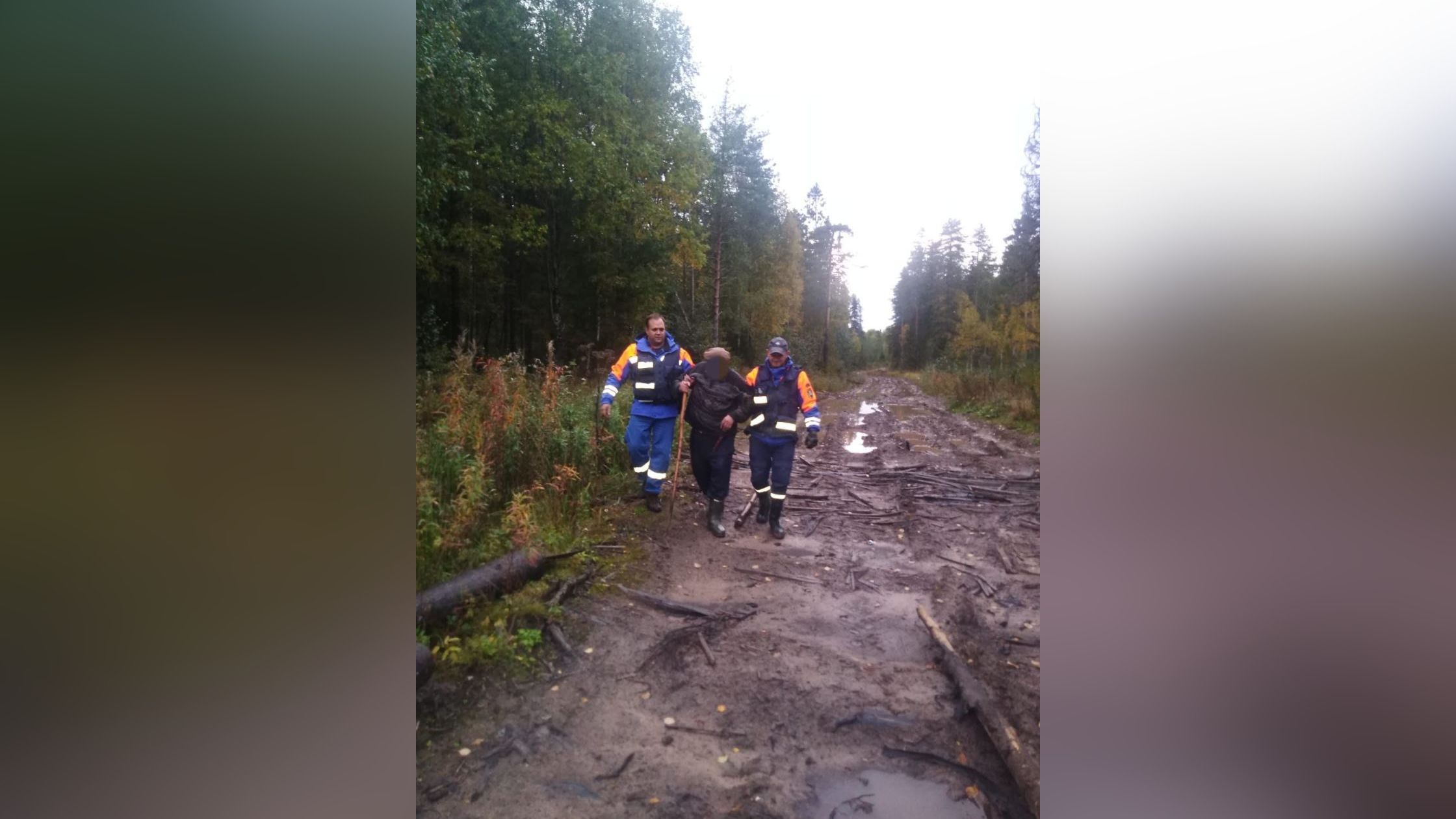 За день спасатели Ленобласти вывели из леса четверых заблудившихся