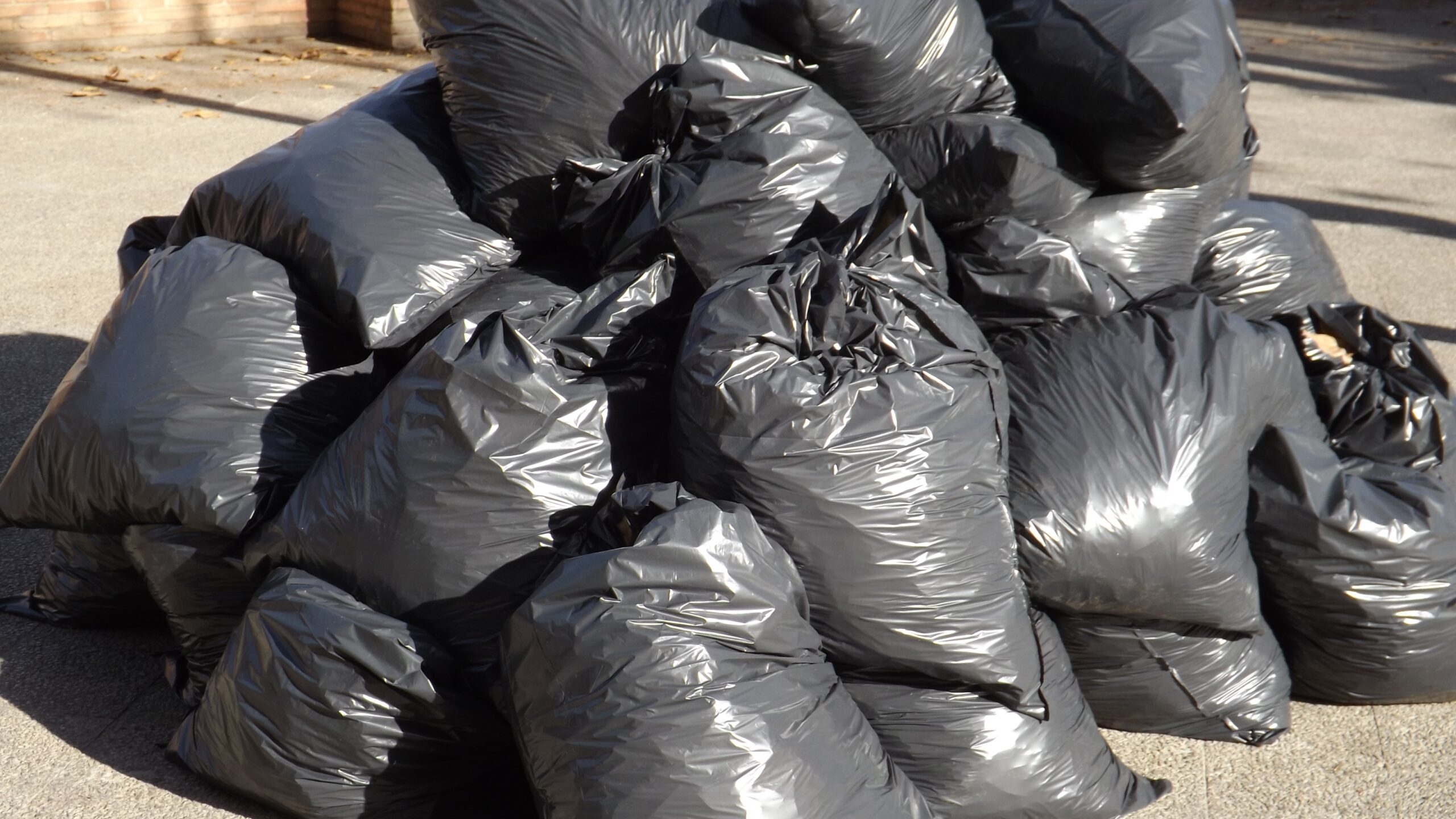 В Ленобласти обнаружили 0,4 гектара мусора