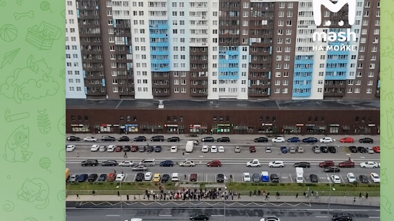 В Петербурге жители ЖК «Чистое небо»  показали сколько лазурных автобусов приходит на остановку в час