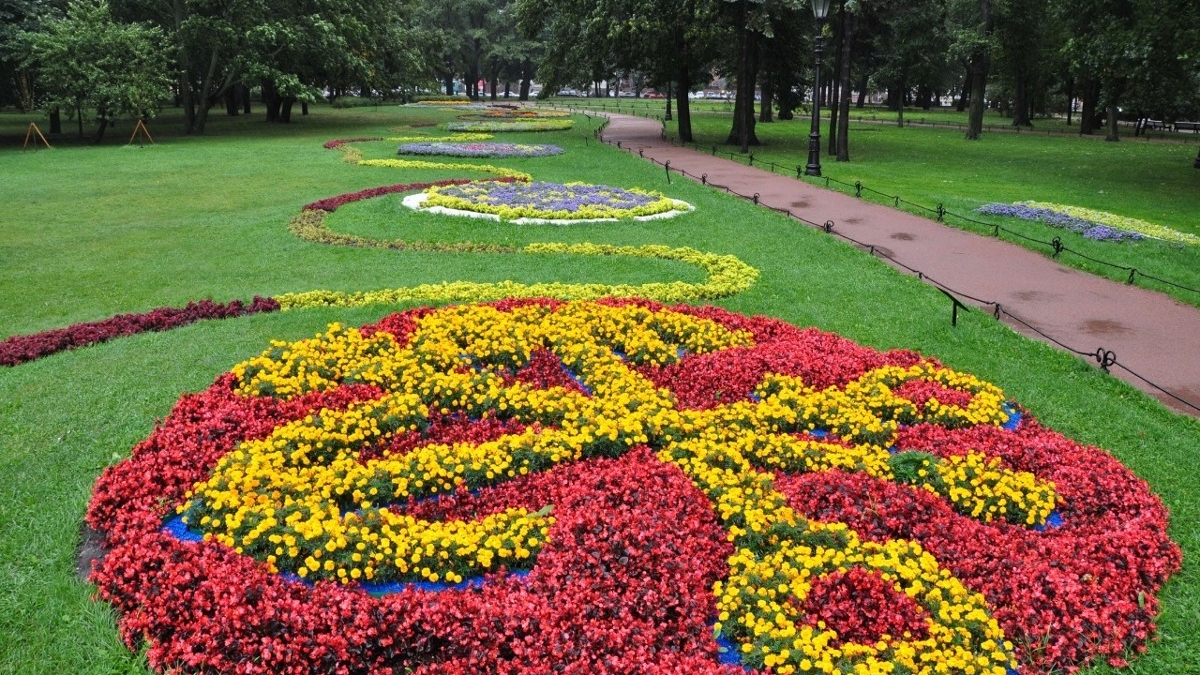 Победителем Фестиваля цветов в Александровском саду стала клумба с гербом Петербурга