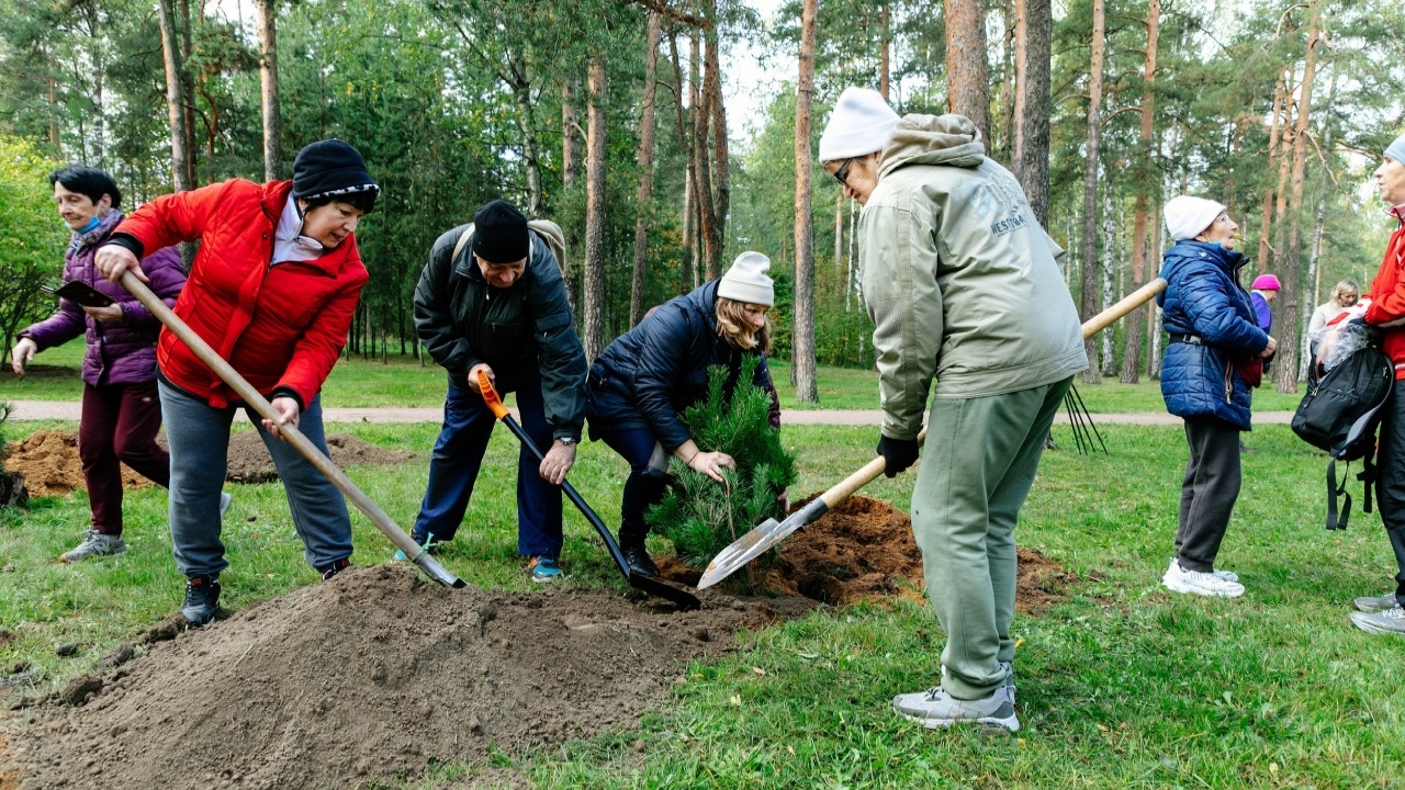 Власти Петербурга позвали активных горожан на осенний посадочный сезон