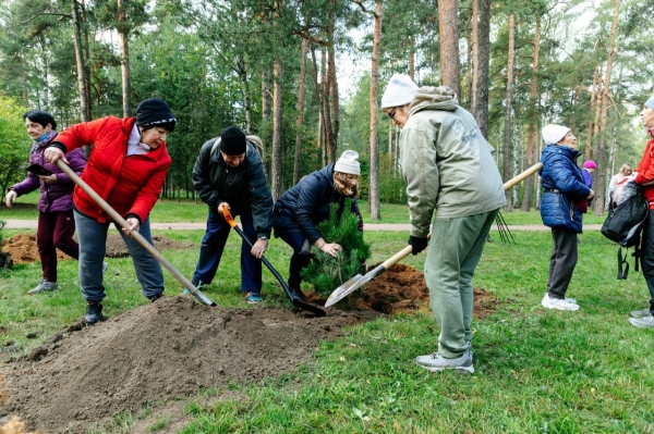 Петербуржцы могут онлайн оценить качество осенней уборки своего района