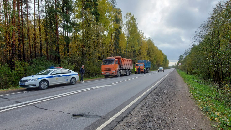 Под Всеволожском эконадзор задержал грузовик со 150 кубометрами мусора