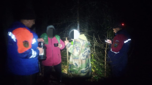 Троих заблудившихся грибников нашли ночью в лесу у Бабино