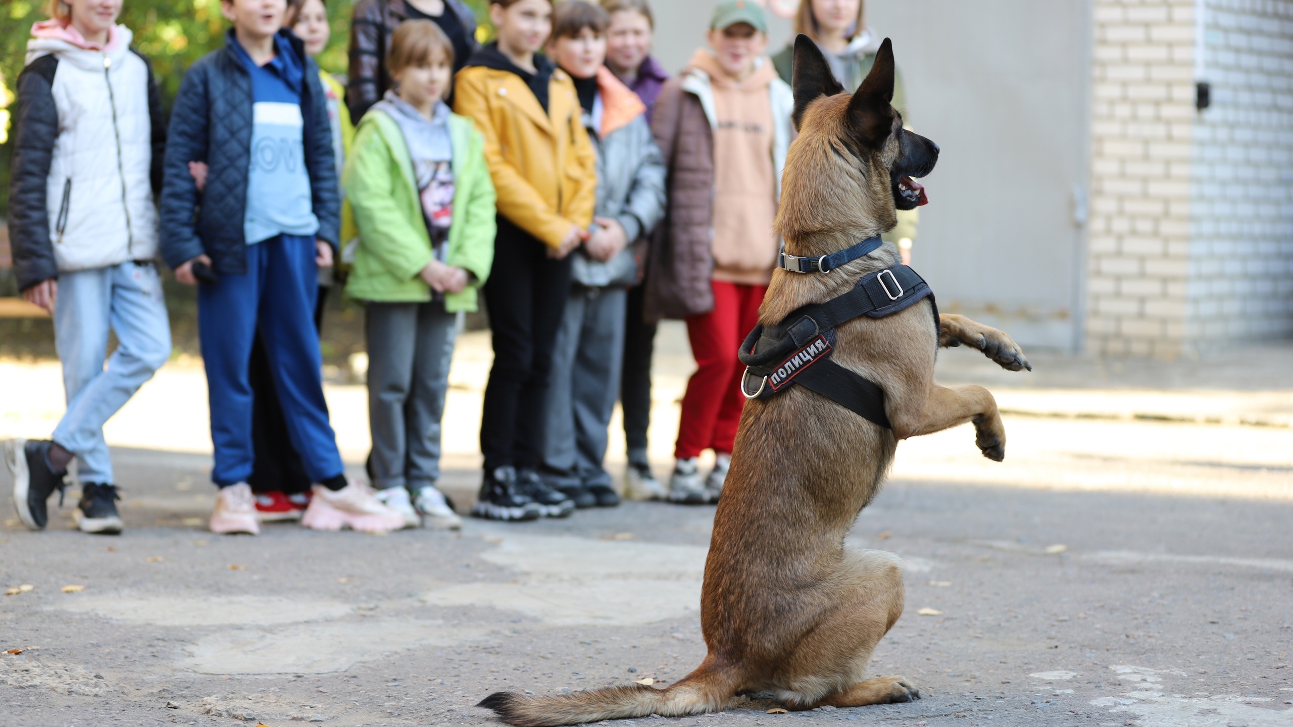 Петербургские полицейские и их собака Сахара пообщались в Луганске с детьми из санатория «Незабудка»