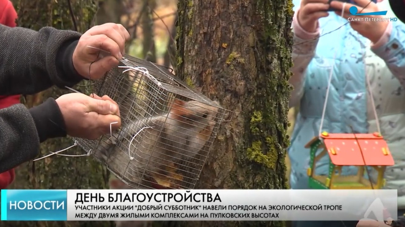 На Пулковских высотах выпустили белок в лес на экотропе