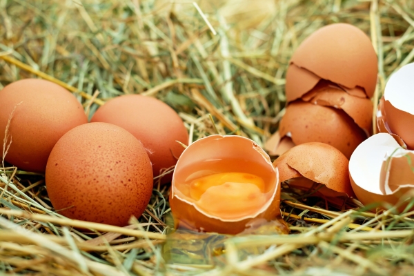 Гастроэнтеролог объяснил, кому следует воздержаться от употребления яиц, рыбы и орехов