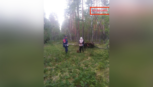 Спасатели помогли троим, заблудившимся в лесу у Пупышево