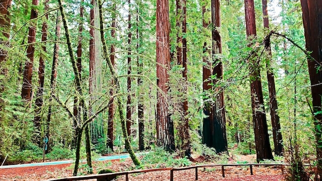 Ученые выяснили, кто уничтожает уникальный лес из деревьев-клонов