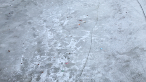 На льду Невы под Петербургом нашли обгоревший труп и зажигалку
