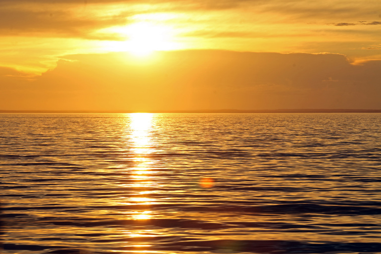 Роспотребнадзор рассказал, что только два пляжа Петербурга ...