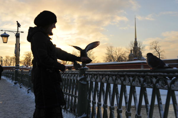 Леус: минувшая ночь стала самой холодной в Петербурге этой осенью