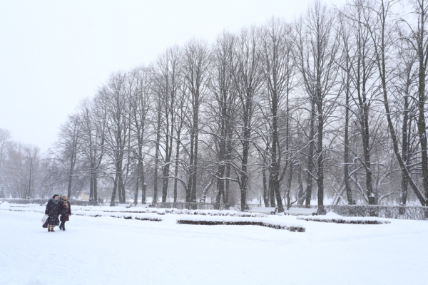В Петербурге 23 января ожидается небольшой снег: на дорогах образуется гололедица